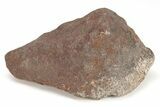 Chondrite Meteorite ( g) - Western Sahara Desert #208162-1